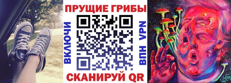Псилоцибиновые грибы Magic Shrooms  Лысково 